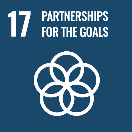 Goal 17 - Partnerships for the goals